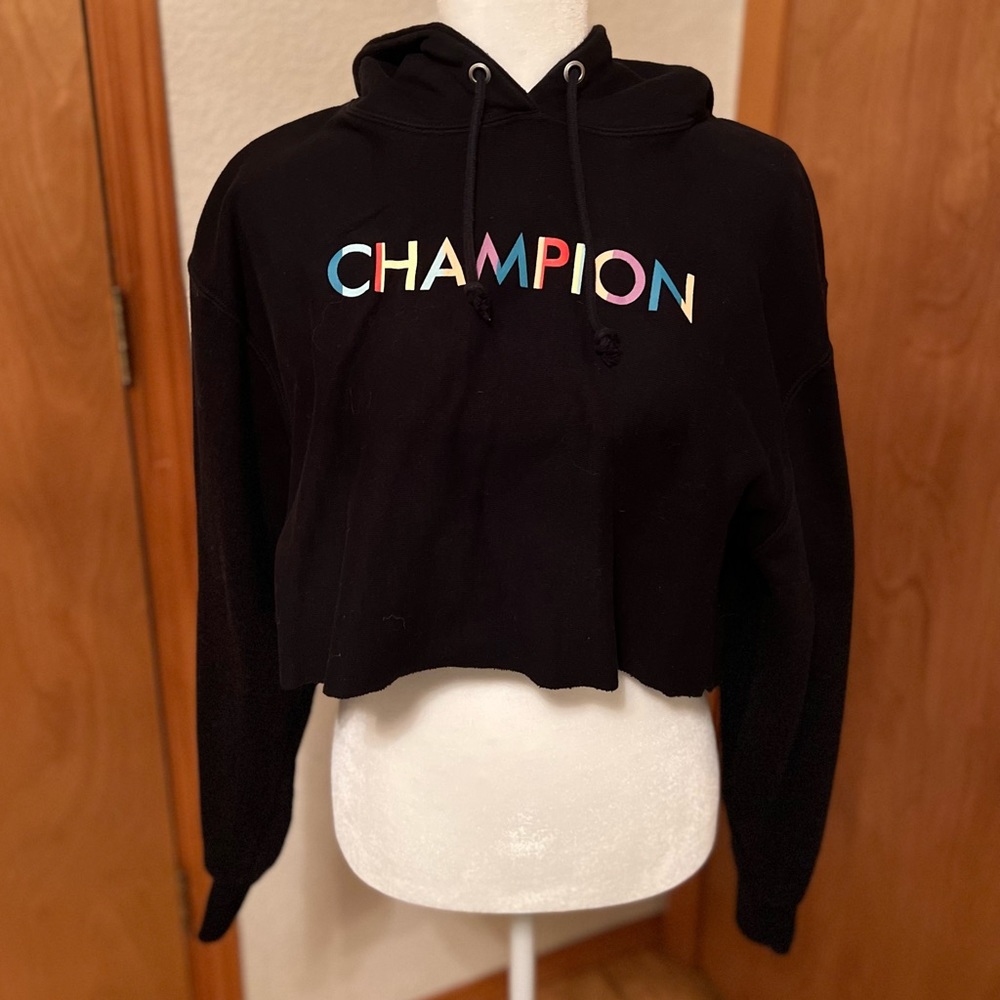 Champion Reverse Weave Crop Hoodie Women’s Large